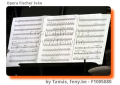 fischer-F1005080