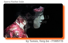 fischer-F1005115