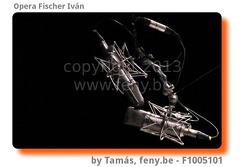 fischer-F1005101